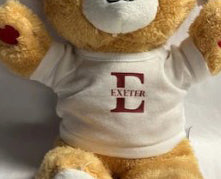 Mini Plush Exeter Tee